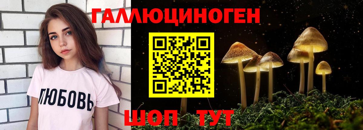 Ачинск  Псилоцибиновые грибы ЛСД  Вход с VPN 
